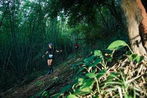 BIB: 
                            <button type="button" onclick="openModal(28124122)" class="btn btn-primary btn-sm float-right btn-popup" data-toggle="modal" data-target=".modal-high-quality">
                        <i class="fas fa-shopping-cart"></i> Add to Cart
                    </button>
                                            <button type="button" onclick="isThisMe(28124122, true)" class="btn btn-success btn-sm float-right btn-popup btn-isme hidden" data-toggle="tooltip" data-placement="bottom" title="นี่คือรูปของคุณใช่ไหม คลิกที่นี่เพื่อเอาเข้าอัลบั้ม">
                        <i class="fas fa-plus"></i> Add to album
                    </button>
                    <button type="button" onclick="isThisMe(28124122, false)" class="btn btn-warning btn-sm float-right btn-popup btn-isnotme hidden">
                        <i class="fas fa-ban"></i> Remove from album
                    </button>